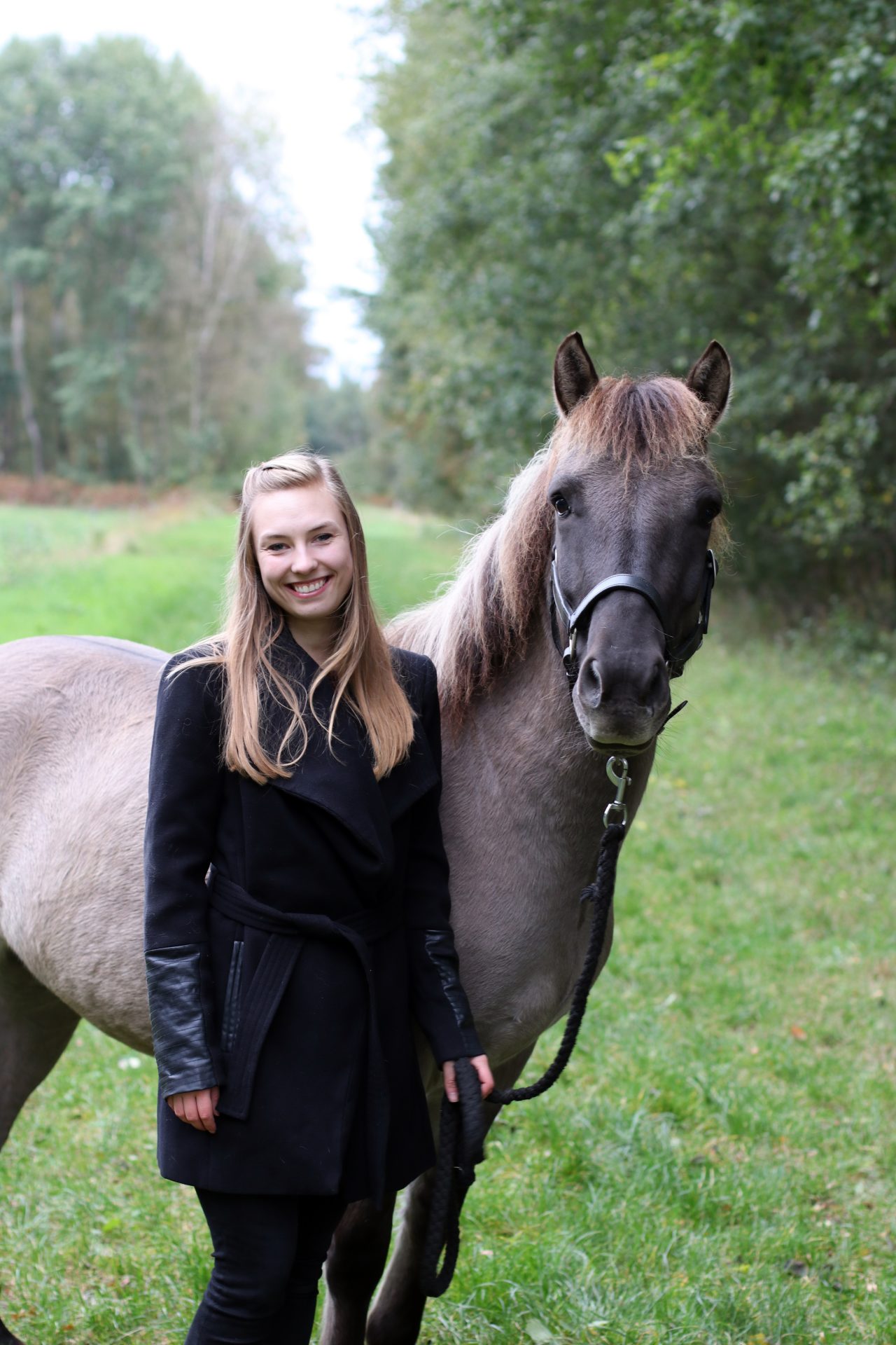  Warum Dülmener Wildpferde? - Co-Trainer für Pferdecoaching 